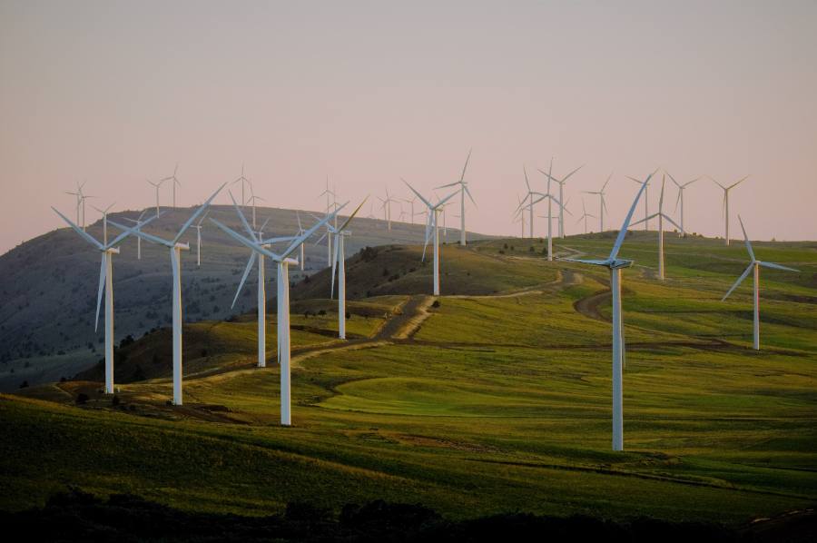 Windturbines in een groen landschap